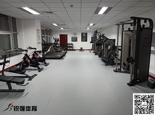 济南某集团采购的3377体育提供的健身器材